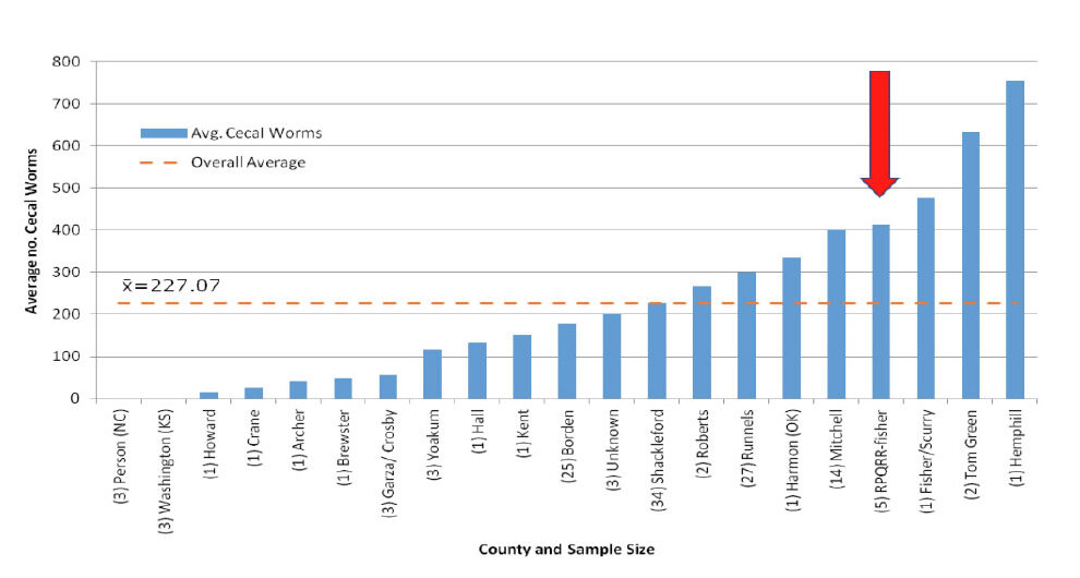 cecal-worms-chart